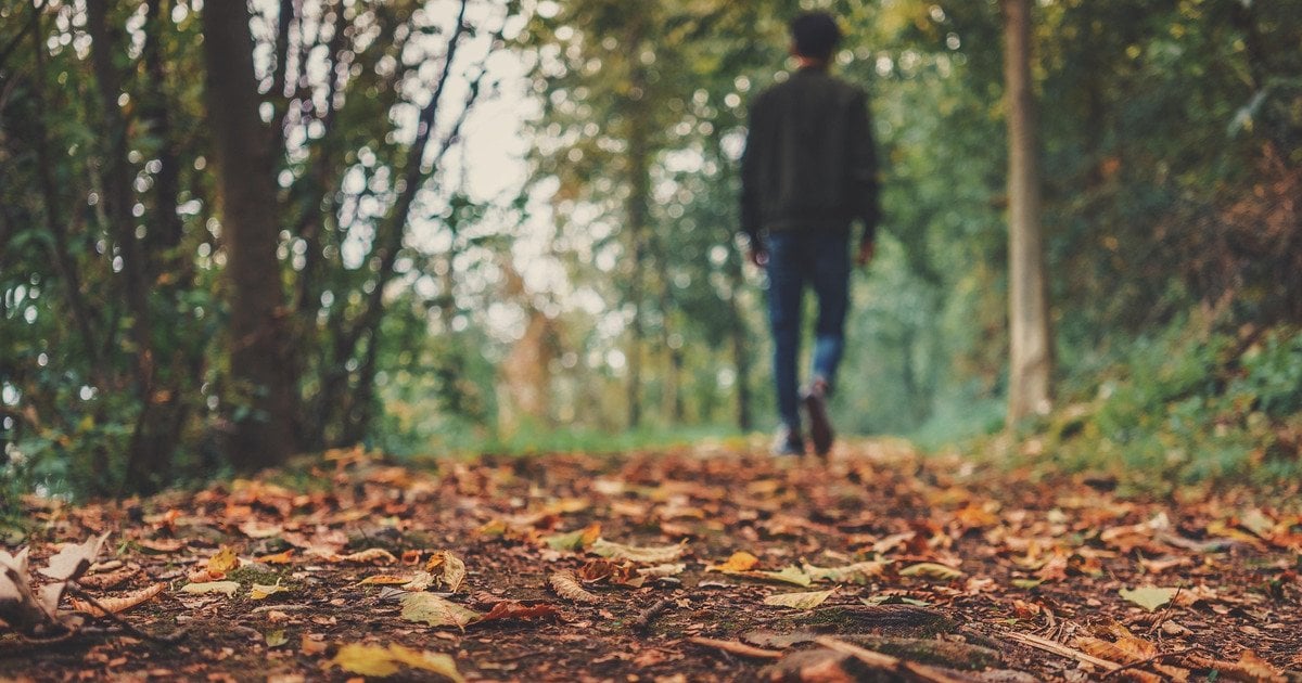 Теплий листопад