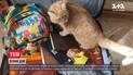 Тревожные расстройства и постоянный стресс: как успокоить себя во время мировой пандемии