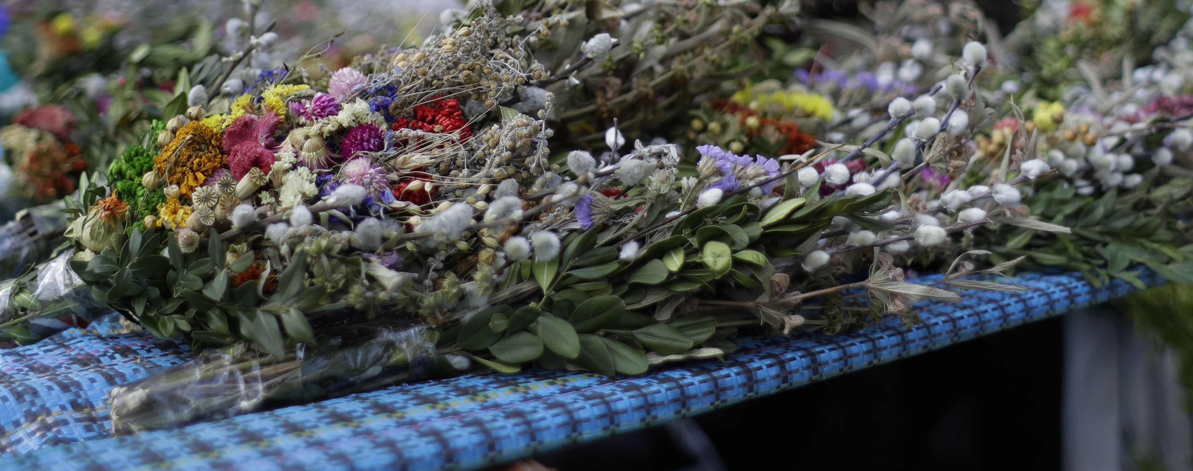 Українці східного обряду святкують вербну неділю