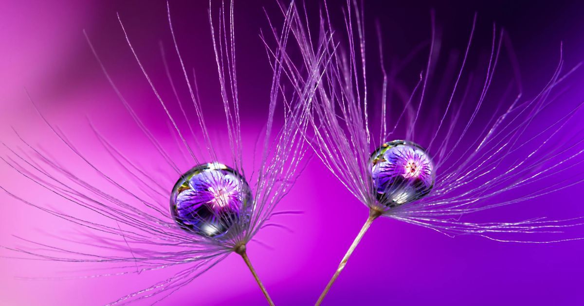 Який сьогодні 28 травня день ангела