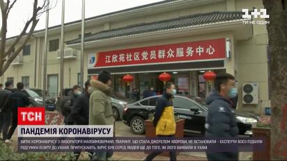 Новини світу: експерти ВООЗ не змогли встановити походження коронавірусу