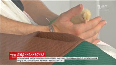 Французький художник Авраам Пуншеваль висидів чотири яйця