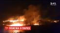 В Черновцах загорелась сухая трава в парке "Октябрьский"