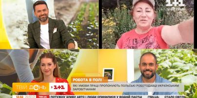 Які умови насправді польські роботодавці пропонують українським заробітчанам