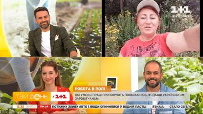 Які умови насправді польські роботодавці пропонують українським заробітчанам