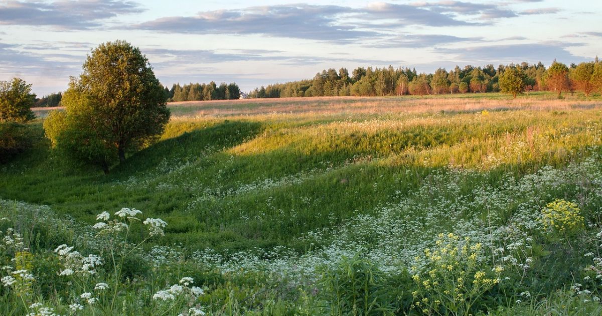 Другий місяць літа почнеться теплою погодою