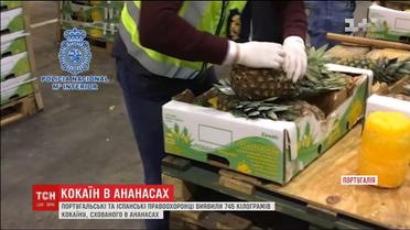 Португальские и испанские правоохранители обнаружили 745 килограммов кокаина, спрятанного в ананасах