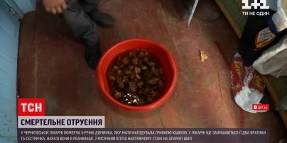Новини України: у Чернігові померла 5-річна дівчинка, яка напередодні отруїлася грибами