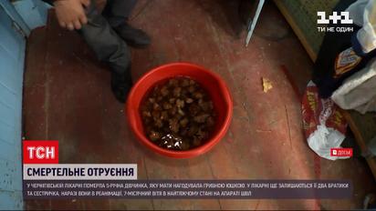 Новини України: у Чернігові померла 5-річна дівчинка, яка напередодні отруїлася грибами
