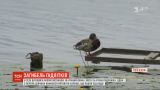 У Рівненській області у ставку потонула пара підлітків