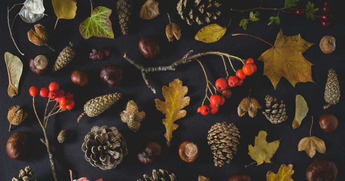 Який сьогодні, 24 листопада, день ангела