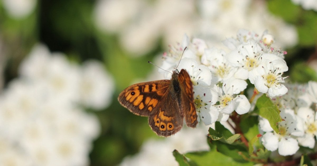 Який сьогодні, 25 квітня, день ангела