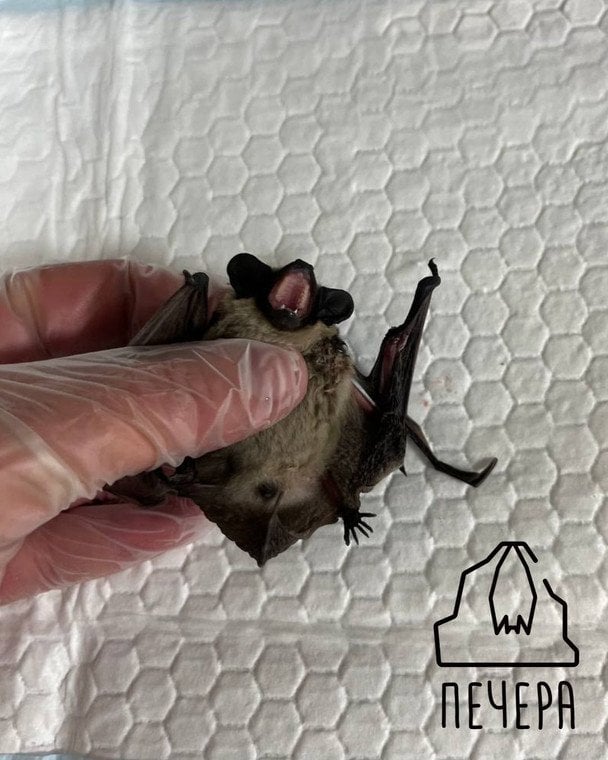  / © Інстаграм