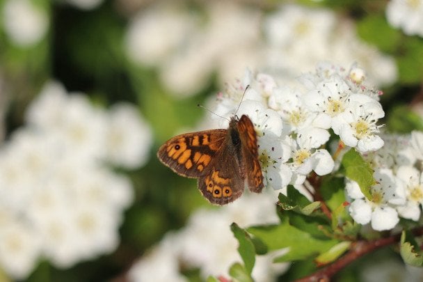 День ангела 25 квітня: кого та як вітати з іменинами