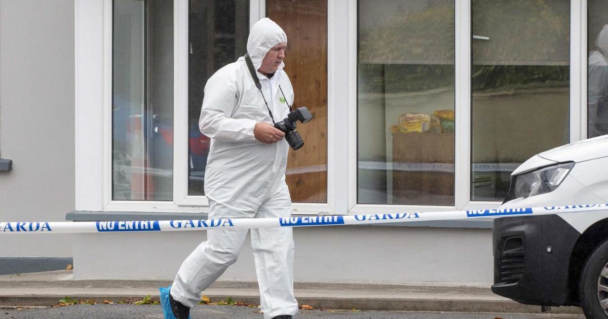 В Ірландії 8-річну українку знайшли з ножовими пораненнями, а поруч – її непритомну матір