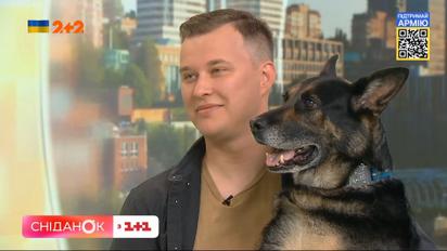 Як собаки допомагають зняти стрес: кінолог Владислав Плахтій