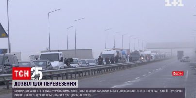 Українські перевізники вимагають більше дозволів для перевезення вантажів в Польщу | Новини світу