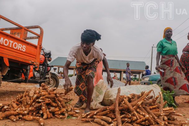 Касава / © Getty Images