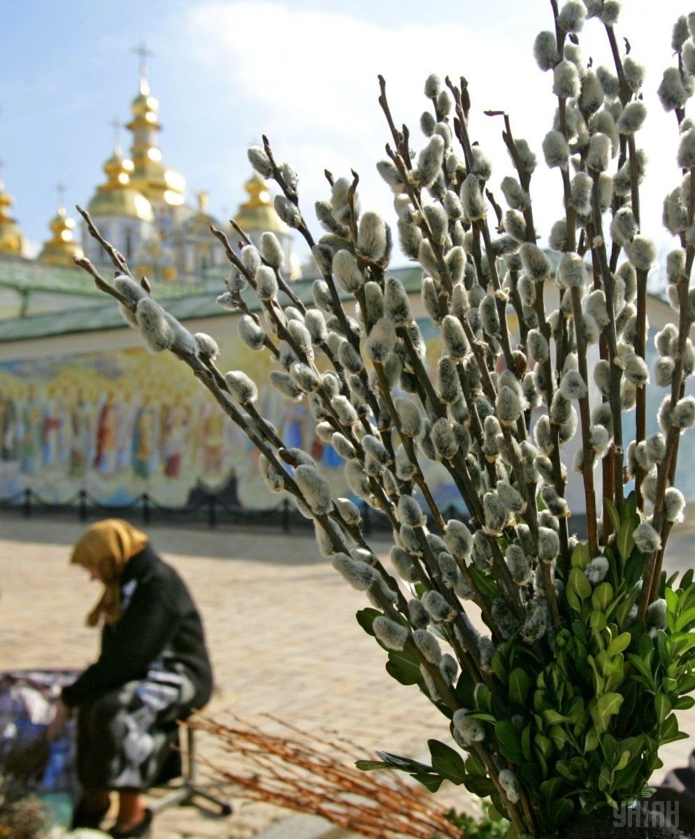 Поздравления с Вербным воскресеньем в стихах, прозе, пожелания в СМС на  телефон — Украина