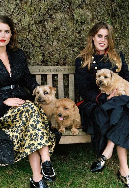 Принцессы Беатрис и Евгения_1