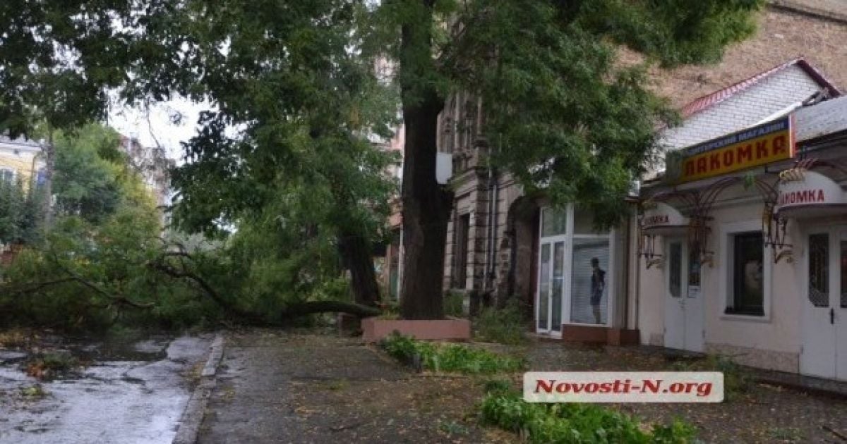 Зламані дерева, обірвані дроти та град: Миколаїв атакувала рясна злива