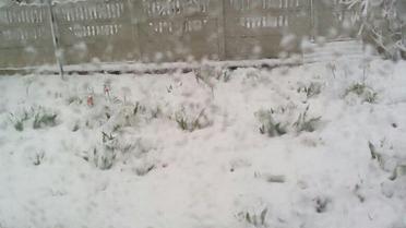 одеса снігопад_4 / © Одеса як вона є