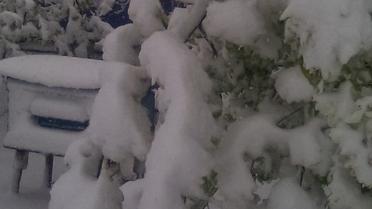 одеса снігопад_5 / © Одеса як вона є