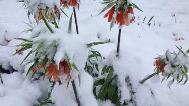 одеса снігопад_2 / © Одеса як вона є