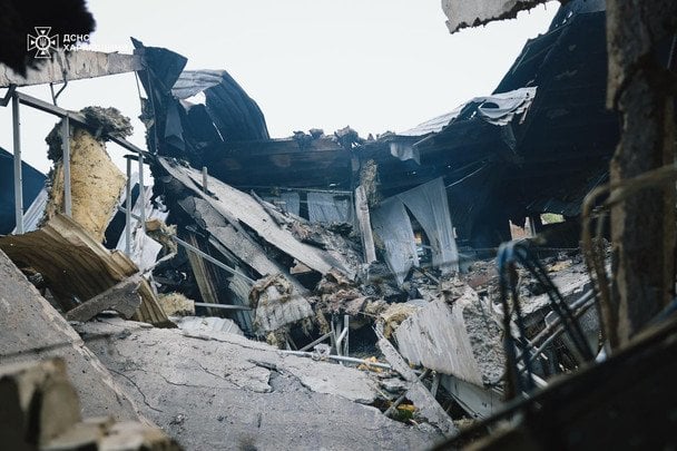 Свині загинули внаслідок удару дрону РФ / © ДСНС
