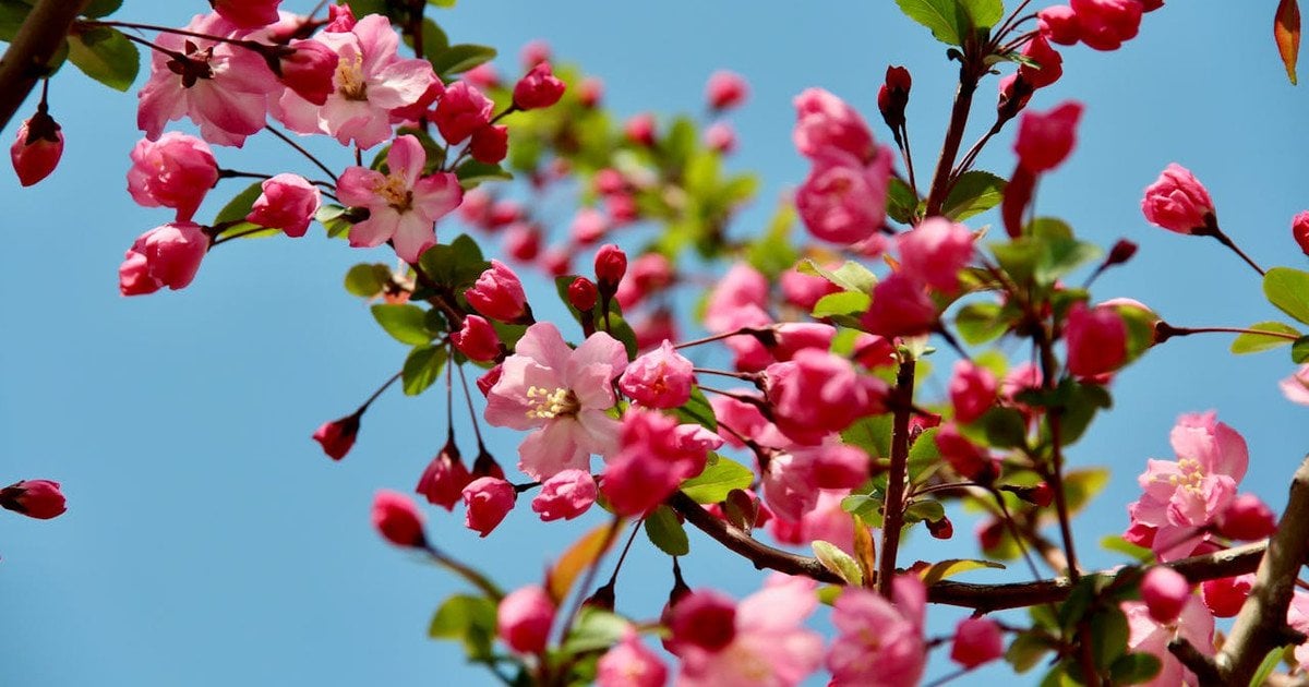 Сьогодні буде тепло