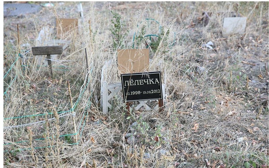 Лебедев позорно высмеял кладбище / © tema.livejournal.com