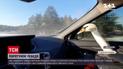 Отчаянные мужчины на коньках спасли раненого лебедя в Днепропетровской области