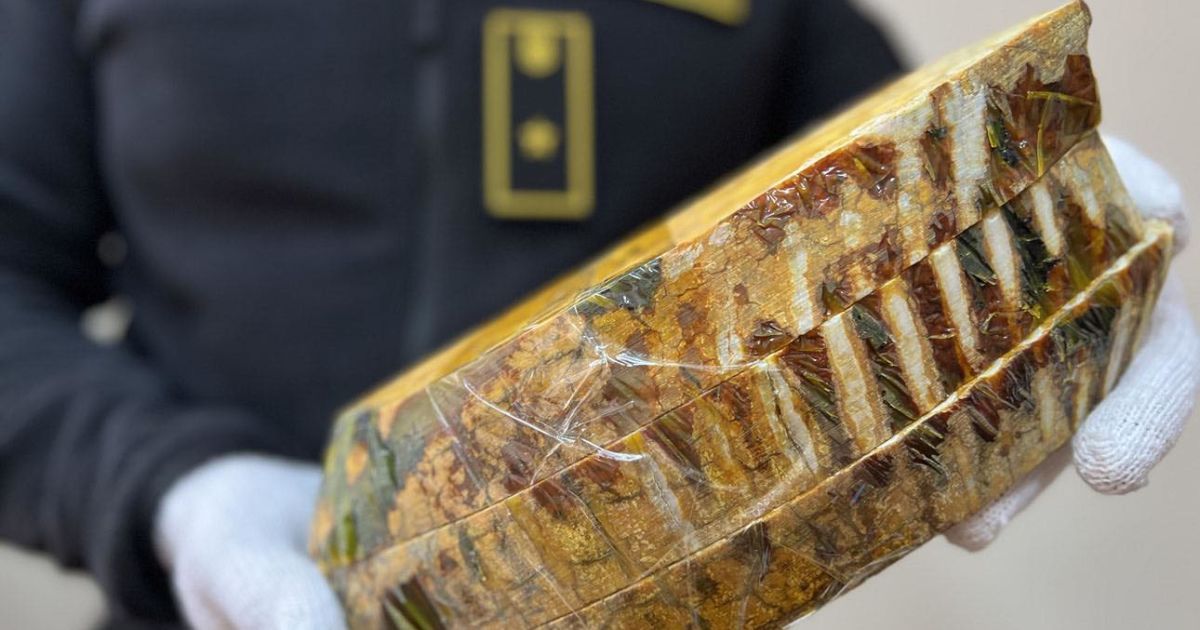 Фото: Київська митниця