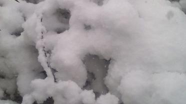 одеса снігопад_8 / © Одеса як вона є