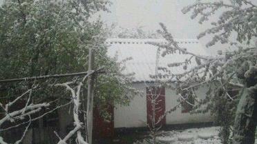 одеса снігопад_9 / © Одеса як вона є