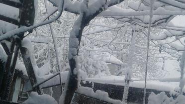 одеса снігопад_6 / © Одеса як вона є