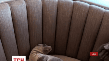 Спасательная операция в американском ресторане