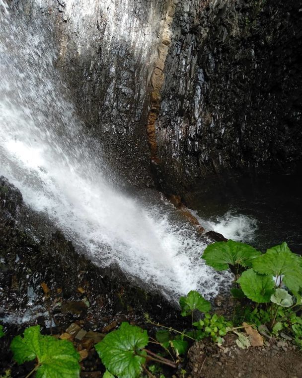  / © instagram.com/vetalkashul2206