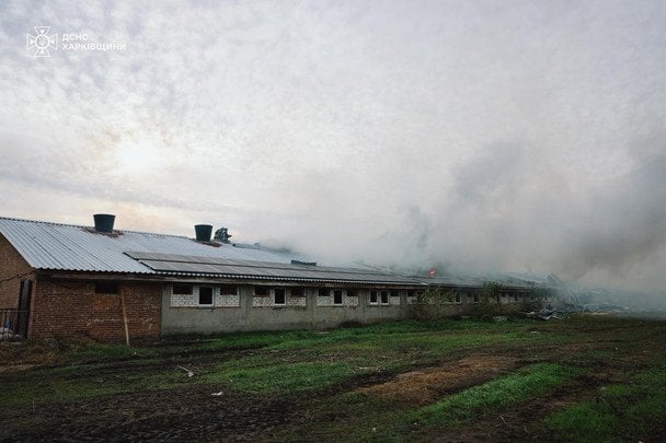 Свині загинули внаслідок удару дрону РФ / © ДСНС