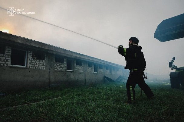 Свині загинули внаслідок удару дрону РФ / © ДСНС