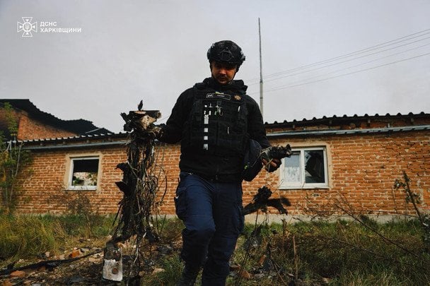 Свині загинули внаслідок удару дрону РФ / © ДСНС