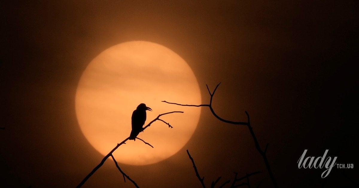 Сонце в Козорозі від 21 грудня до 20 січня