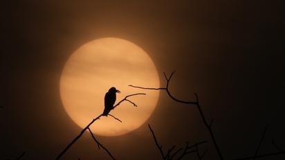 Солнце в Козероге с 21 декабря до 20 января