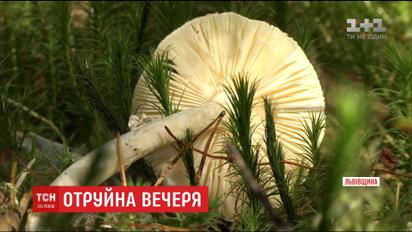 Чоловік помер через отруєння блідою поганкою на Львівщині