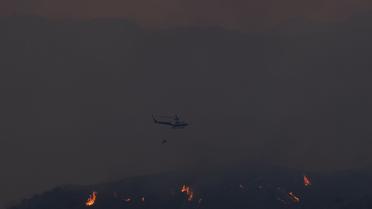 Кіпр лісові пожежі_1 / © Associated Press