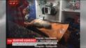 П’яна вечірка трьох київських маршрутників закінчилася різаниною