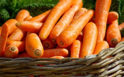 Морковь — очень полезный корнеплод