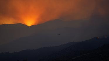 Кіпр лісові пожежі_3 / © Associated Press