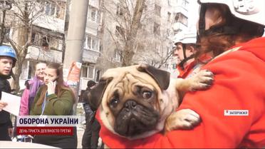 Выжили, но ранены осколками - запорожцы после ракетного удара вспоминают пережитое