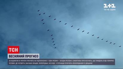Погода в Украине: о чем предупреждают синоптики в начале весны